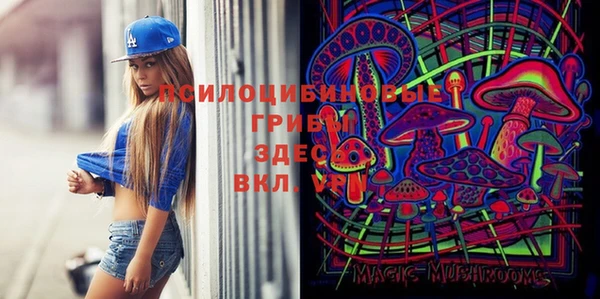 эйфоретик Алексин
